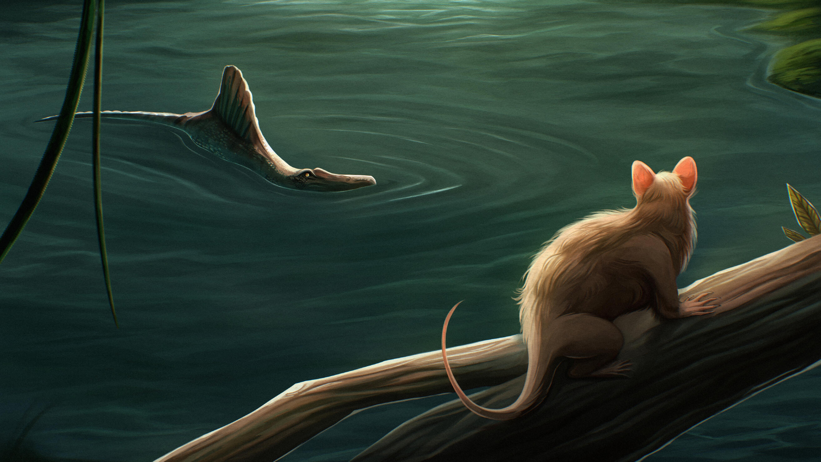 Thesis Illustration Final 3